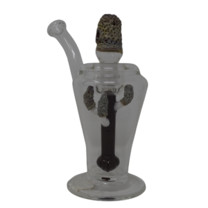 Moral Mushroom Perc Rig